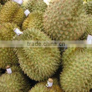 Fresh durian from Thailand