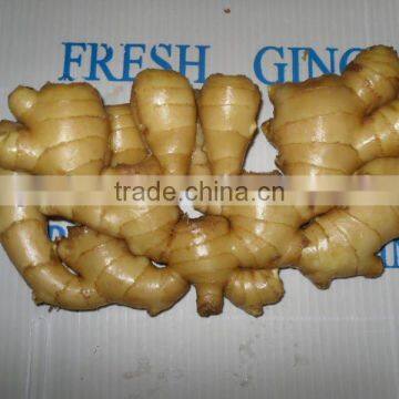 Fresh dry ginger