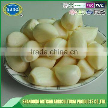 Fresh peeled garlic supplier and exporter