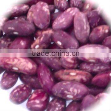 JSX cost price beans great price machine sorting purple speckled kidney beans