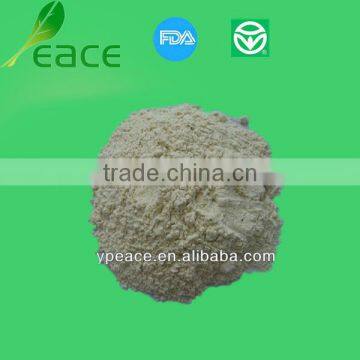 A grade garlic powder from linyi