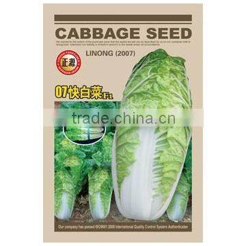 Cabbage seeds high quality vegetable seeds