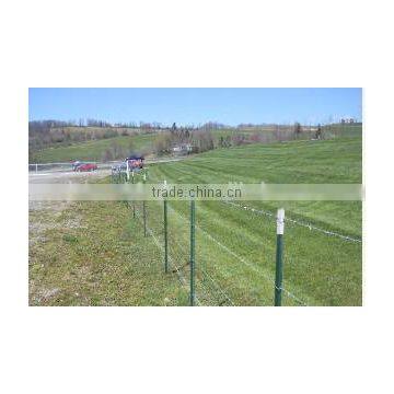 T Bar Fence Post Paint Green T Post Metal T Post photo-4
