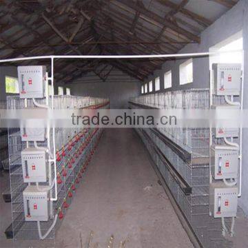 high quality wire mesh quail cage