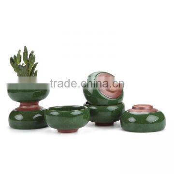 succulent Plant Pot Cactus Plant Pot Flower Pot Container