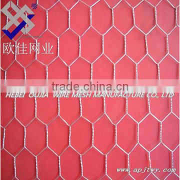 Stainless Steel Hexagonal Wire Mesh