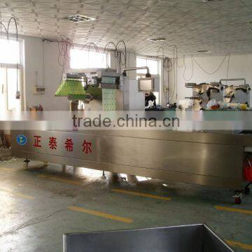 Rz 420 Automatic Continuous Vacuum Packaging Machine