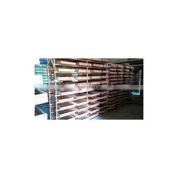 Dried Mealworms for Chicken Feed photo-2