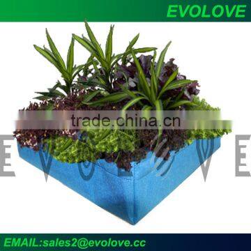 Evolove gardening plant nursery bags