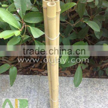 Decoration Short Tonkin Bamboo Cane/pole photo-2