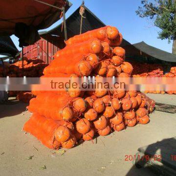 Plastic Vegetables Mesh Bag,pp Onion Sack photo-2
