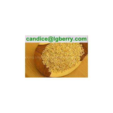 Plant Protein Meal Replacement Powder