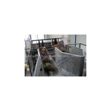 Pineapple Processing Line photo-2