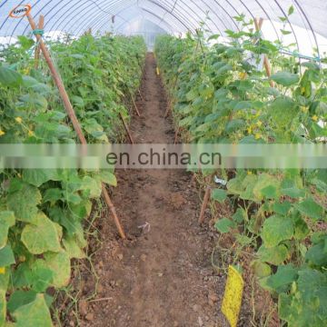 uv resistant plastic greenhouse film /UV polyethylene film