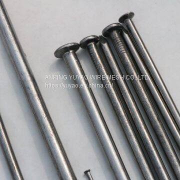 iron wire common nails