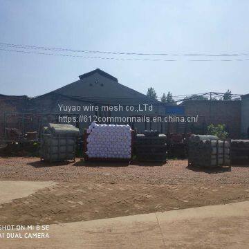 Window Screen Woven Galvanized 28*28 Square Wire Mesh photo-3