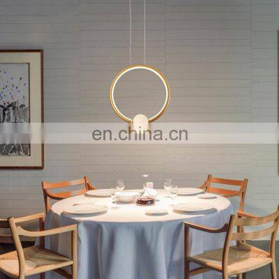 New Product Indoor Hanging Decoration Home Shop Cafe LED Modern Chandelier Pendant Light