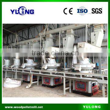 China 2.5-3T/H Biomass Wood Pellet Plant