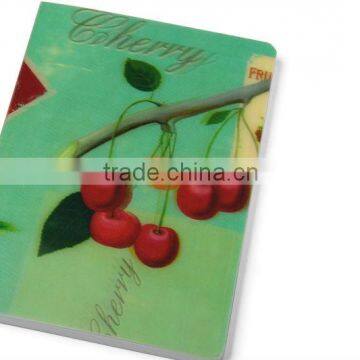 a4 szie pvc decorative pocket folders with CMYK full color printing RYX-DF111