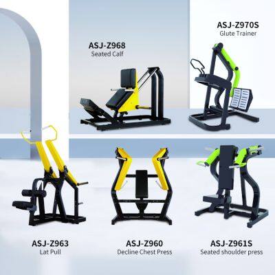Factory Customizable Plate Loaded Gym Fitness Equipment For Legs Back Chest Shoulder Arms Training