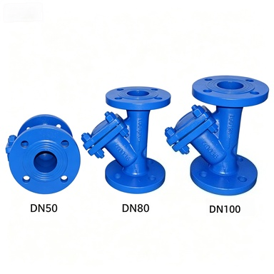 ASTM A216 WCB Marine Cast Steel Flanged Y-Type Strainer for Seawater Systems photo-2