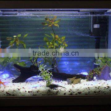 IP68 Waterproof Romantic Underwater Decorative Lights LED Point Light Source photo-3