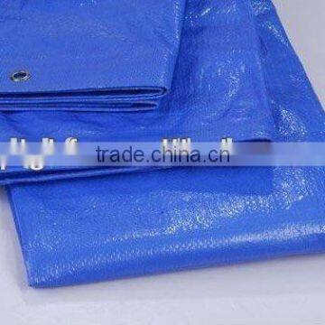 100 polyester Sheet