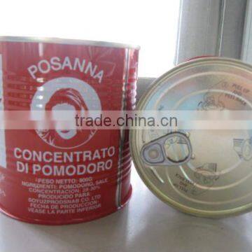 800g cold break canned tomato paste with brix 22-28%and best price