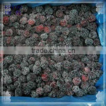 Wholesale Frozen IQF Mulberry Fruit Price