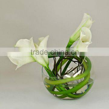 Terrarium bowl rose bud glass vase centerpiece slant mouth cut round handblown manufacture                        
                                                                Most Popular