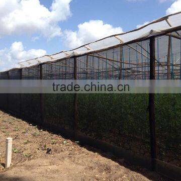 High Quality Greenhouse Used Elastic Mesh Netting Shade Cloth photo-3