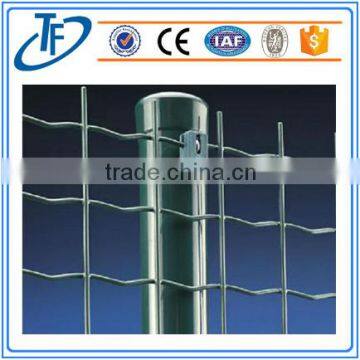 Galvanised Chicken Wire Fencing Hexagonal Wire Mesh for Farming