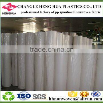 Biodegradable Nonwoven Fabric, pp Spunbond Non Woven Fabric photo-5
