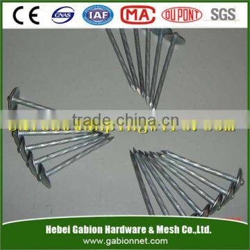 hot sale BWG8~BWG19 galvanized umbrella head roofing nails