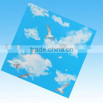 PVC ceiling panel 59.5*59.5cm bleu sky&pigeon