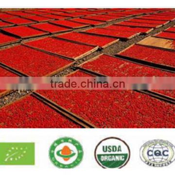 Hot sale dried goji berry of 280 grains per 50 gram