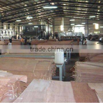 Wood Veneer Used for Plywood/engineered Wood Veneer/PLB Veneer photo-2