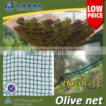 Agriculture Olive Collection Net for green / 60201-33 (tape net)