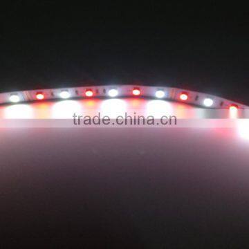 RGBW Double Row SMD5050 SMD3528 Waterproof Led Strip Light photo-4