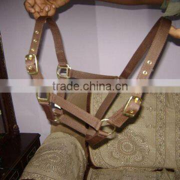 horse Leather Halter