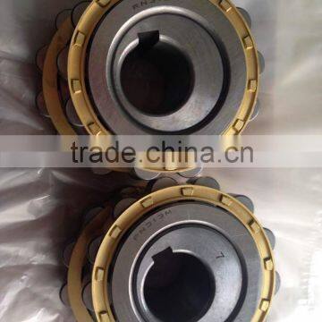 RN313M NTN KOYO Eccentric Bearing ,Cylindrical roller bearing