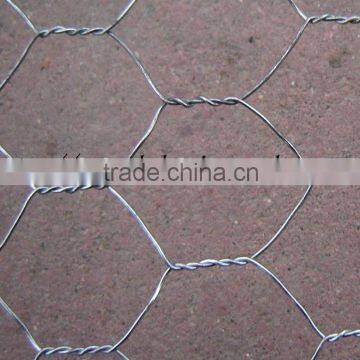hot dipped galvanized lobster trap