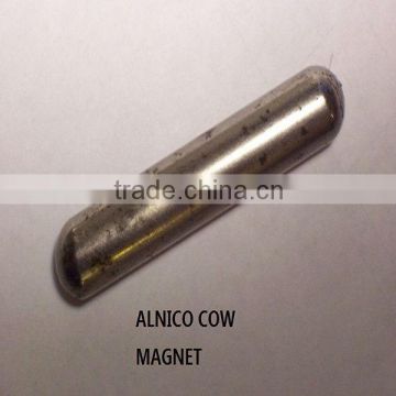 COW MAGNETS FOR SALE COW STOMACH MAGNET