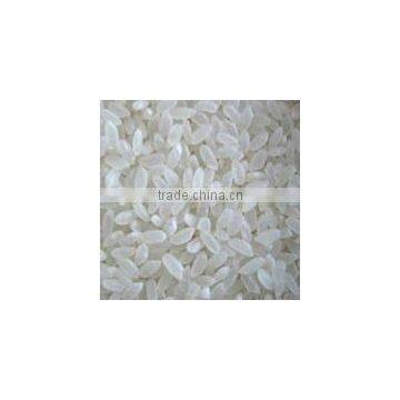 short grain white rice 5% broken