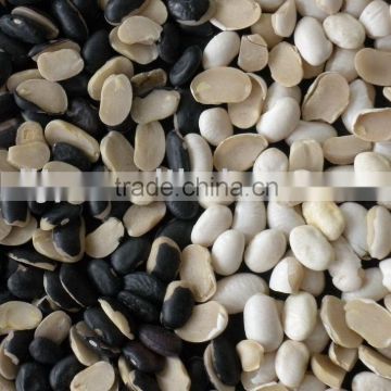 Split Light Speckled Kidney Bean