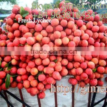 VIET NAM FRESH LYCHEE / LITCHI / LITCHEE