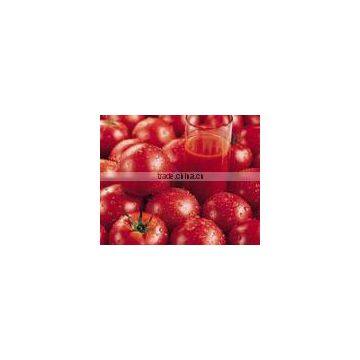 Tomato