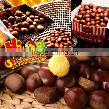 Bulk Fresh Chestnut Chinese Food Wholesale Frozen Raw Food photo-6