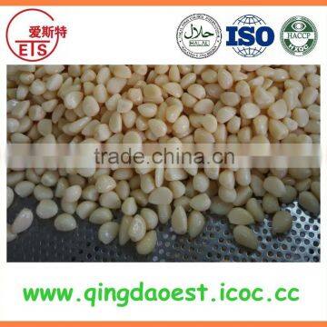 New Crop Garlic in Brine From Chinese Factory photo-4