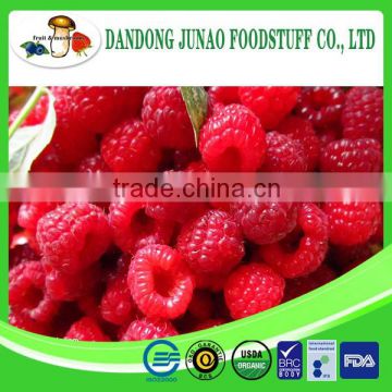 2016 crop sweet taste grade A fresh raspberry